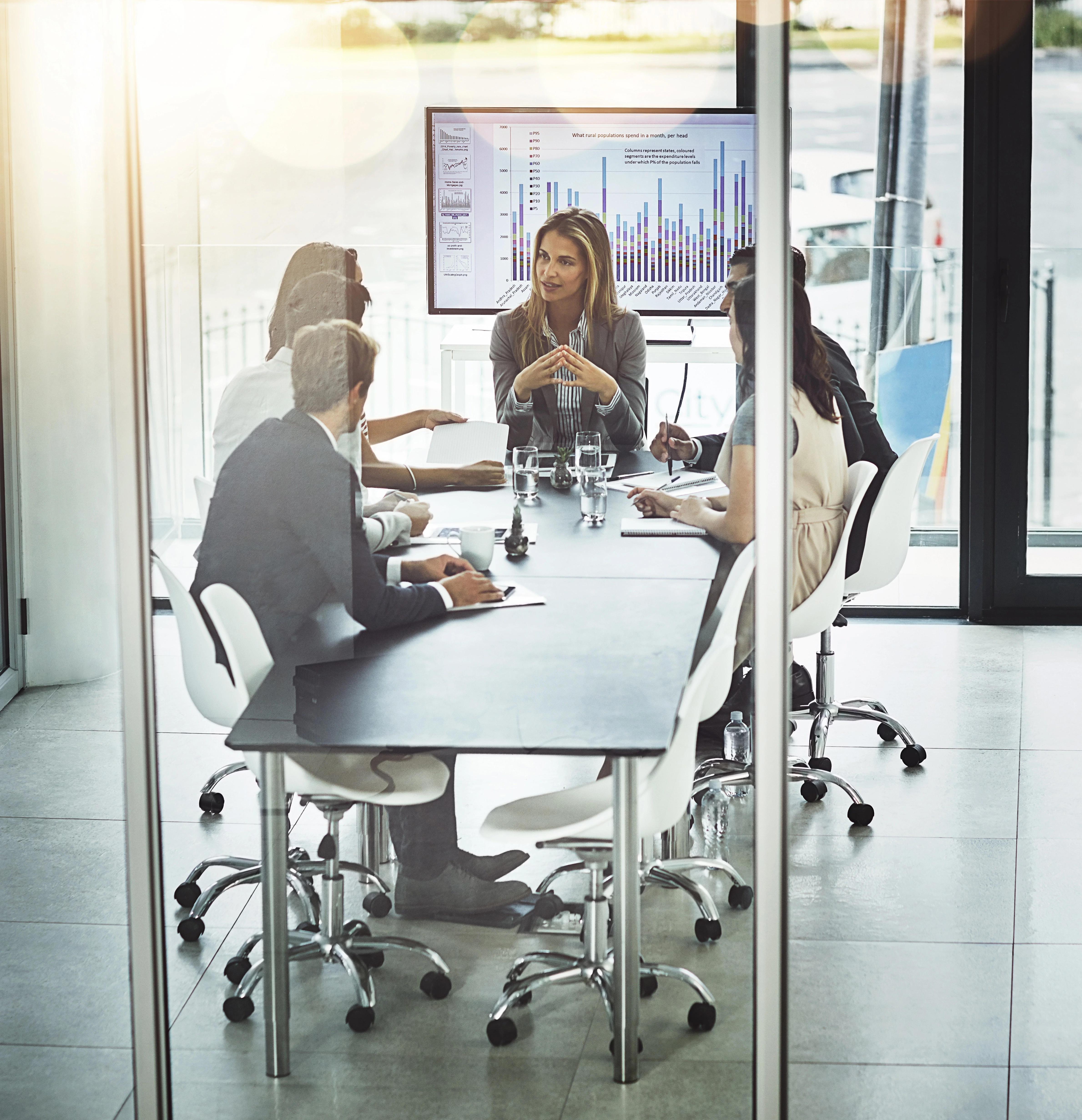 Independent Advisor